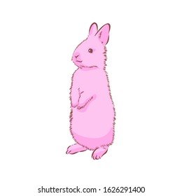 Easter rabbit bunny, vector illustration 