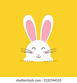 Easter rabbit, easter Bunny. Vector illustration.