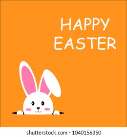 easter rabbit, easter bunny, vector illustrator.