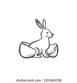 Easter rabbit in the egg hand drawn outline doodle icon. Easter holidays concept vector sketch illustration for print, web, mobile and infographics isolated on white background.