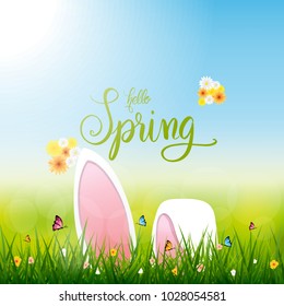 easter rabbit , nature spring season wallpaper
