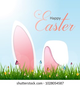 easter rabbit , nature spring season wallpaper