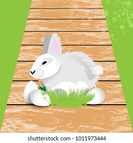 Easter. Easter rabbit on a wooden path in the grass against a wooden fence in Easter eggs. horizontal sheet orientation