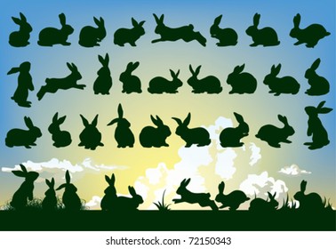 easter rabbit outlines with sky background