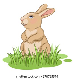 Easter rabbit sitting in green grass isolated on white