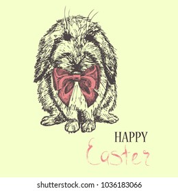 Easter rabbit. Sketch hand drawn illustration