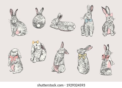 Easter rabbits vector illustrations set