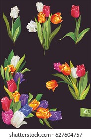 Easter set with spring tulips. Bouquet of colorful flowers, isolated on black background. Fresh summer illustration