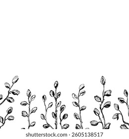 Easter spring frame, border with sprigs of willow. Template hand drawn design for banner, poster, card, paper. Holiday print. Branch with pussy willow buds. Vector illustration background.