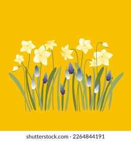 Easter spring postcard with floral Narcissus background