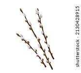 Easter spring twigs blossom pussy willow tree. Vector spring holiday illustration in cartoon flat style isolated on a white background.