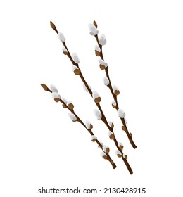 Easter spring twigs blossom pussy willow tree. Vector spring holiday illustration in cartoon flat style isolated on a white background.