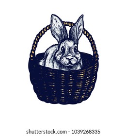 Easter symbols cart, hand drawn Isolated vector illustration. Bunny in a basket, rabbit. Universal templates for invitation or packaging. Engraving
