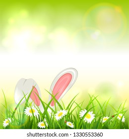 Easter theme with bunny ears. Green nature background with white rabbit in grass with flowers, illustration.