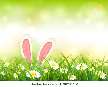 Easter theme with bunny ears. Green nature background with white rabbit in grass with flowers, illustration.