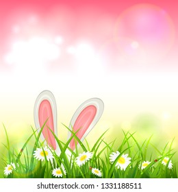 Easter theme with bunny ears. Pink nature background with white rabbit in grass with flowers, illustration.