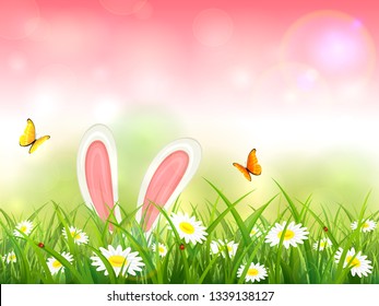 Easter theme with bunny ears. Pink nature background with butterflies and white rabbit in grass with flowers, illustration.