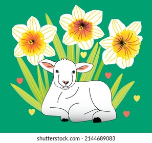 Easter vector illustration with sheep lying among blooming daffodils