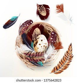 Easter vector realistic nest eggs and feathers design isolated on white