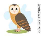 Eastern barn owl perched in flat vector style. Eastern barn owl illustration featuring Tyto javanica, eastern barn owl artwork.