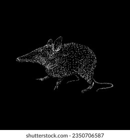 eastern barred bandicoot hand drawing vector isolated on black background.