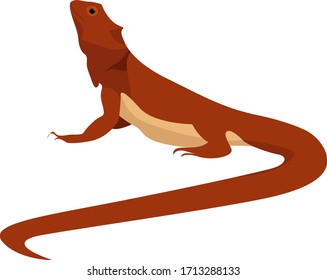 dragón con barba oriental, ilustración, vector sobre fondo blanco.