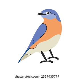 Eastern bluebird clipart avatar logotype isolated illustration