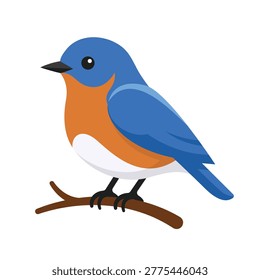 eastern bluebird flat vector illustration clipart isolated	