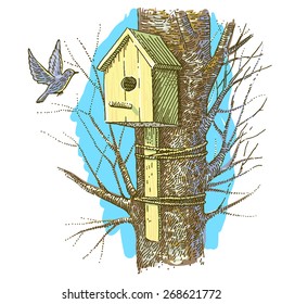 Eastern Bluebird flies into birdhouse.
