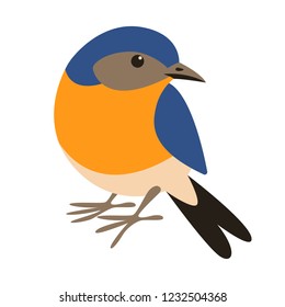 eastern bluebird,flat style, front view