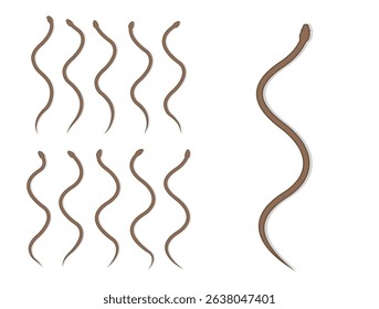 Eastern Brown Snake Animal Animation Sequence Cartoon Vector