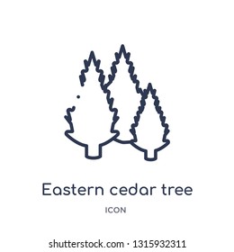 eastern cedar tree icon from nature outline collection. Thin line eastern cedar tree icon isolated on white background.