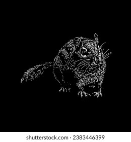 eastern chipmunk hand drawing vector isolated on black background.