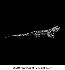 vector de dibujo de mano de lagarto de la cerca oriental aislado sobre fondo negro.