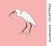 Eastern Great Egret Eating Fish In Mount, vector illustrations  