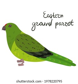 Eastern ground parrot in cartoon style on white background. Vector hand drawn illustration. Pezoporus wallicus