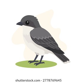 Eastern kingbird in minimal flat vector style, eastern kingbird isolated with soft shapes for trendy wildlife nursery illustration