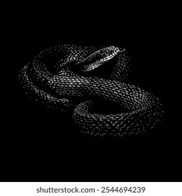 eastern racer snake hand drawing vector isolated on black background.