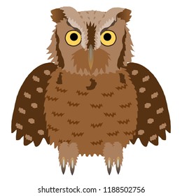 Eastern Screech Owl or Otus asio
