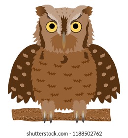 Eastern Screech Owl or Otus asio