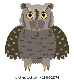 Eastern Screech Owl or Otus asio
