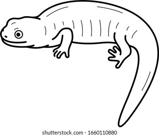 Eastern tiger salamander. Illinois State symbol. Vector outline icon.