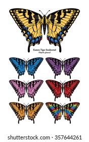 Eastern Tiger Swallowtail Buttefly Vector