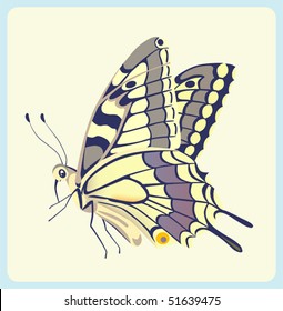 Eastern Tiger Swallowtail butterfly. eps 10