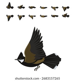 Whipbird Voando sequência de animação vetor de desenhos animados