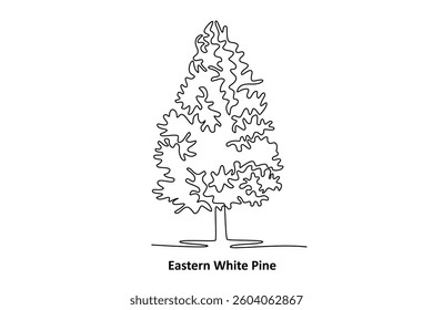 Eastern White Pine. Tree and flower concept. Single line draw design. Vector graphic illustration
