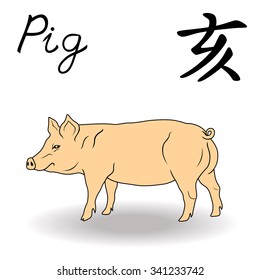 Eastern Zodiac Sign Pig, symbol of New Year in Chinese calendar, hand drawn vector artwork isolated on a white background