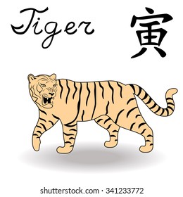Eastern Zodiac Sign Tiger, symbol of New Year in Chinese calendar, hand drawn vector artwork isolated on a white background