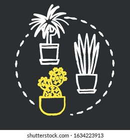 Easy to care plants chalk RGB color concept icon. Unpretentious indoor potted flowers. Succulents and cactuses idea. Vector isolated chalkboard illustration on black background