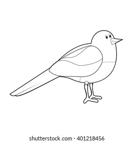 Easy Coloring drawings of animals for little kids: Magpie